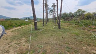 유니거니님의 기타작물 · 영농일지 작성글 사진