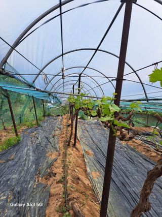 조연만님의 작성글 사진