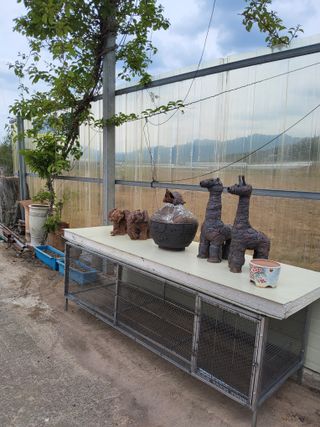 상주 한진학(달빛포님의 기타작물 · 영농일지 작성글 사진