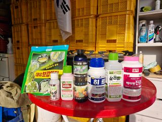 성은모님의 복숭아 · 영농일지 작성글 사진