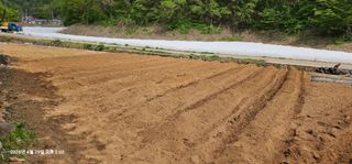 장용선 사진작가농부님의 기타작물 · 영농일지 작성글 사진