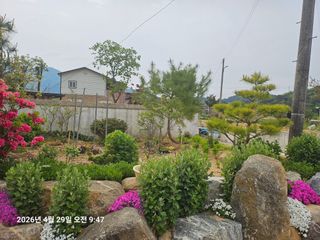 유명숙님의 기타작물 · 영농일지 작성글 사진