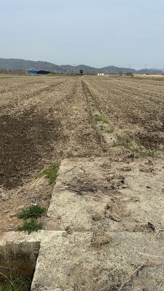 씨와님의 벼 · 영농일지 작성글 사진