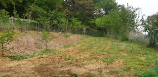 정천복님의 기타작물 · 영농일지 작성글 사진