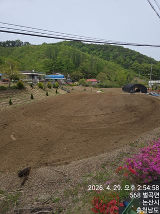 두릅나무9056님의 기타작물 · 영농일지 작성글 사진