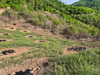 김천양평님의 기타작물 · 영농일지 작성글 사진