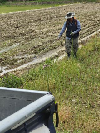 양배추21524님의 벼 · 영농일지 작성글 사진