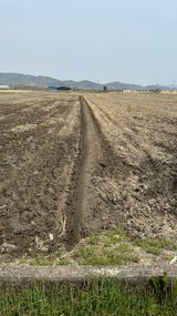 팜모닝 벼·영농일지 게시글 이미지