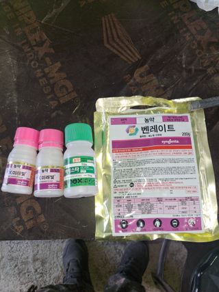 서태수님의 포도 · 영농일지 작성글 사진