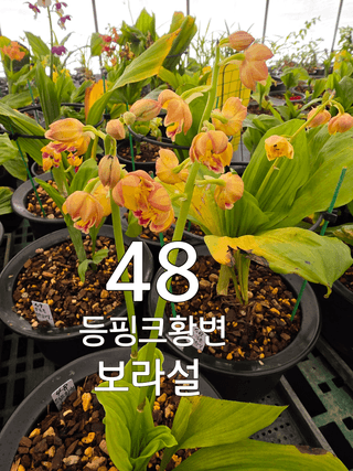 이성규 님의 기타작물 · 영농일지 작성글 사진