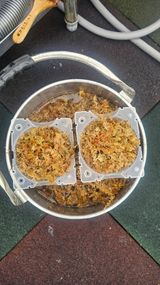 장정규님의 작성글 사진