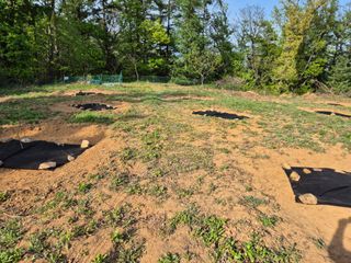 김천양평님의 기타작물 · 영농일지 작성글 사진