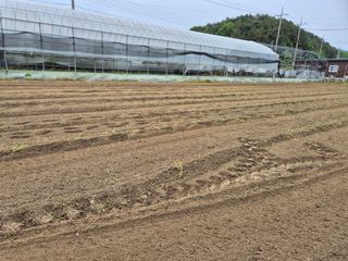 늘햇살팜 님의 기타작물 · 영농일지 작성글 사진