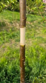 장정규님의 작성글 사진