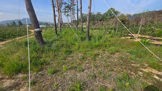 유니거니님의 기타작물 · 영농일지 작성글 사진