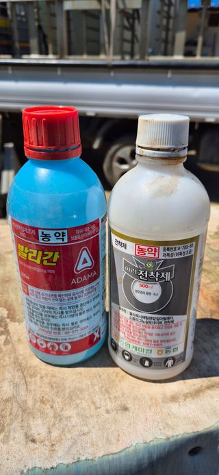 골드래곤님의 복숭아 · 영농일지 작성글 사진