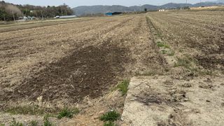 씨와님의 벼 · 영농일지 작성글 사진