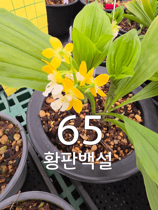 이성규 님의 기타작물 · 영농일지 작성글 사진