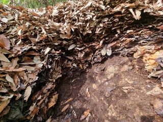 자병산무농약고추님의 기타작물 · 영농일지 작성글 사진