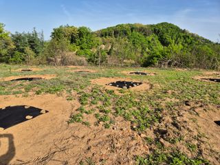 김천양평님의 기타작물 · 영농일지 작성글 사진