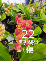 팜모닝 기타작물·영농일지 게시글 이미지