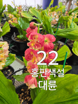 이성규 님의 기타작물 · 영농일지 작성글 사진