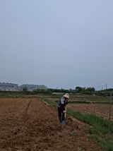 팜모닝 벼·영농일지 게시글 이미지