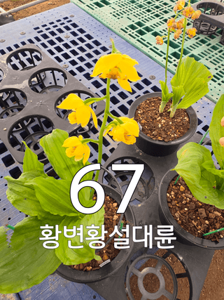 이성규 님의 기타작물 · 영농일지 작성글 사진