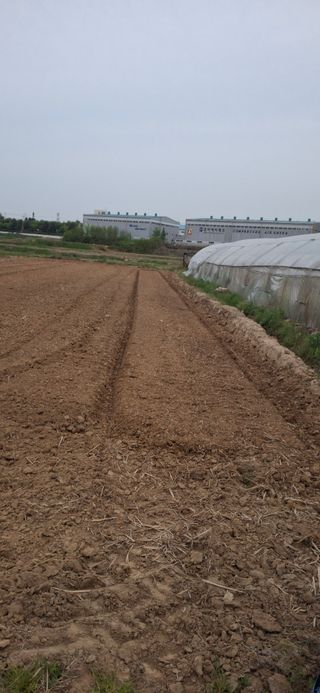 홍순철님의 벼 · 영농일지 작성글 사진