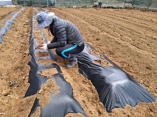 최한기님의 기타작물 · 영농일지 작성글 사진