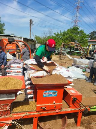 김명숙님의 벼 · 영농일지 작성글 사진