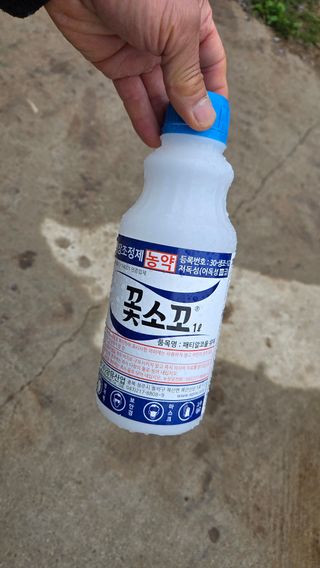 김중달님의 사과 · 영농일지 작성글 사진