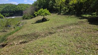 유니거니님의 기타작물 · 영농일지 작성글 사진