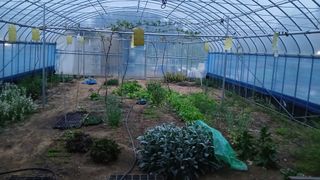 이상철님의 기타작물 · 영농일지 작성글 사진