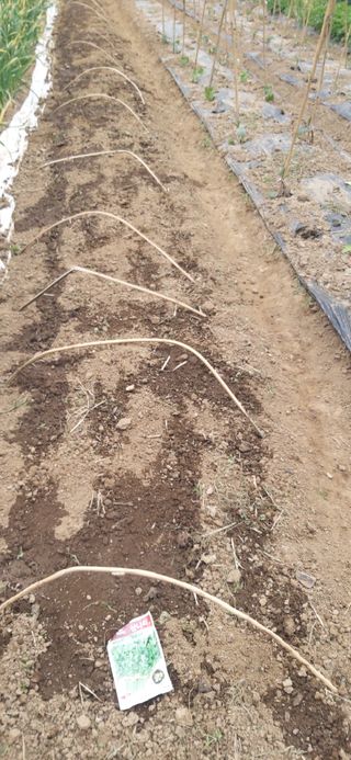 정진근 님의 기타작물 · 영농일지 작성글 사진