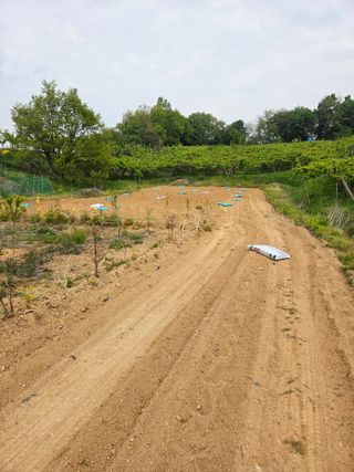 김연숙님의 기타작물 · 영농일지 작성글 사진