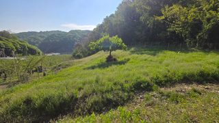 유니거니님의 기타작물 · 영농일지 작성글 사진