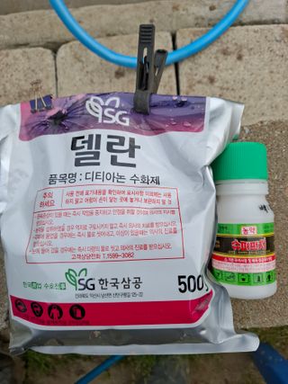 주재필님의 사과 · 영농일지 작성글 사진