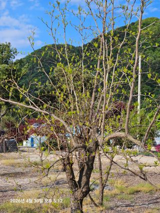 김병효님의 기타작물 · 영농일지 작성글 사진