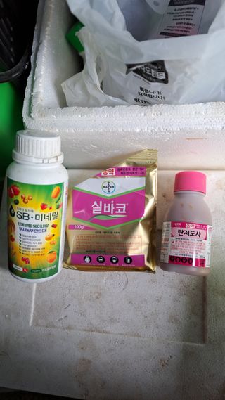 주윤발이님의 배 · 영농일지 작성글 사진