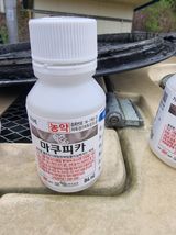 팜모닝 복숭아·영농일지 게시글 이미지