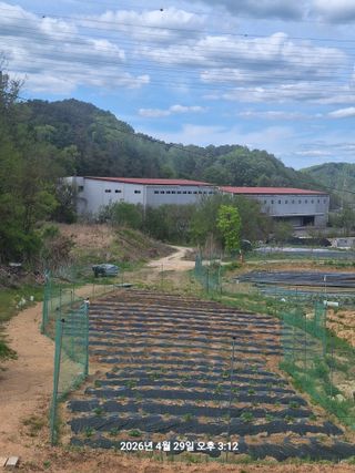 이수홍(이창희)님의 기타작물 · 영농일지 작성글 사진