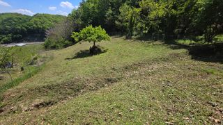 유니거니님의 기타작물 · 영농일지 작성글 사진