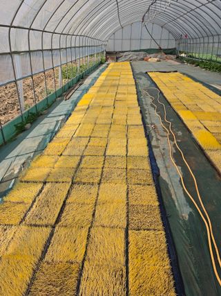 호박14310님의 기타작물 · 영농일지 작성글 사진