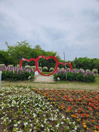 김영암님의 기타작물 · 영농일지 작성글 사진