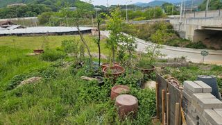 장정규님의 복숭아 · 영농일지 작성글 사진