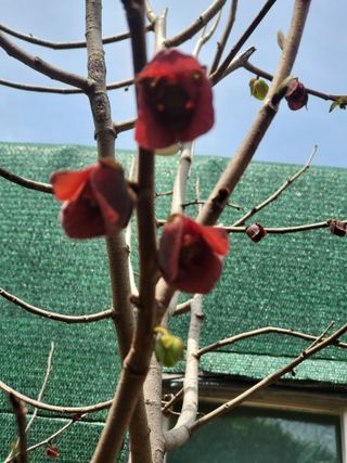 김명숙님의 기타작물 · 영농일지 작성글 사진