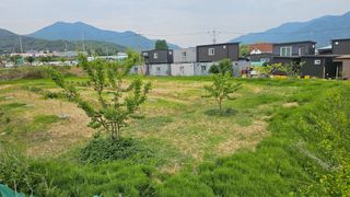 장정규님의 복숭아 · 영농일지 작성글 사진