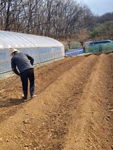 최한기님의 작성글 사진