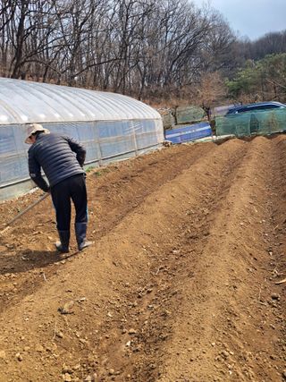최한기님의 기타작물 · 영농일지 작성글 사진